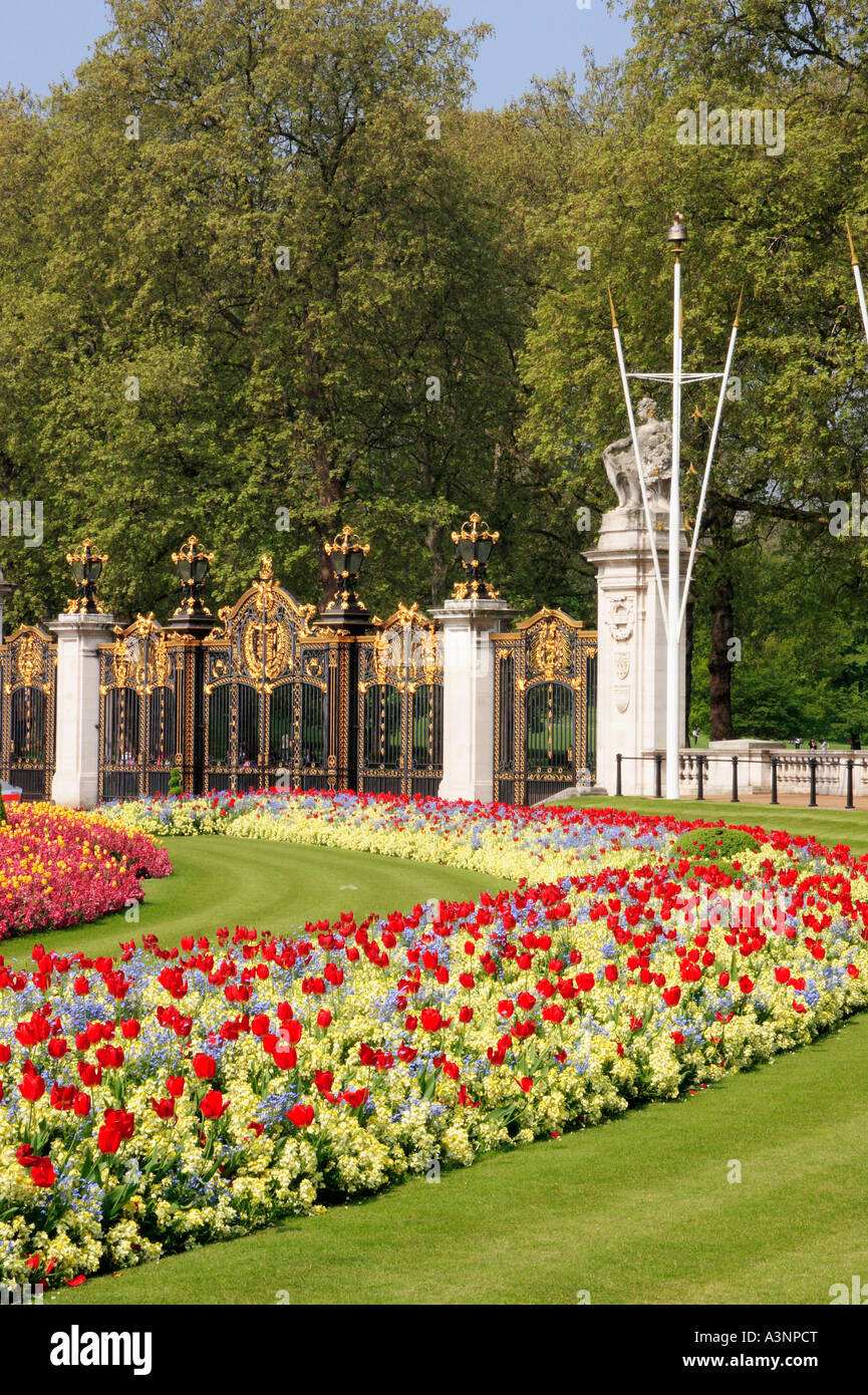 London / Garden of Buckingham Palace Stock Photo - Alamy