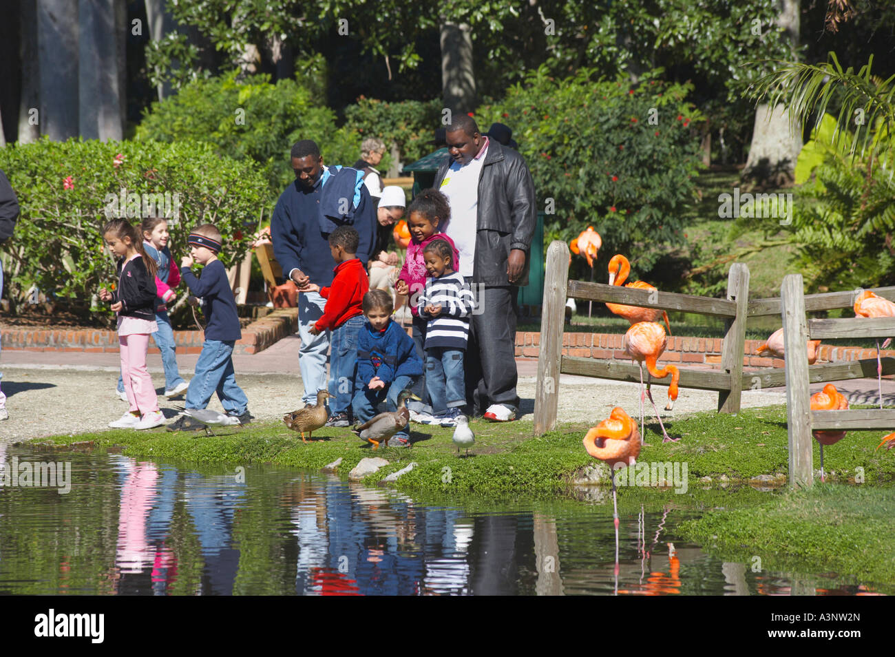 Kids Viewing The Flamingos In The Flamingo Lagoon Area Of The