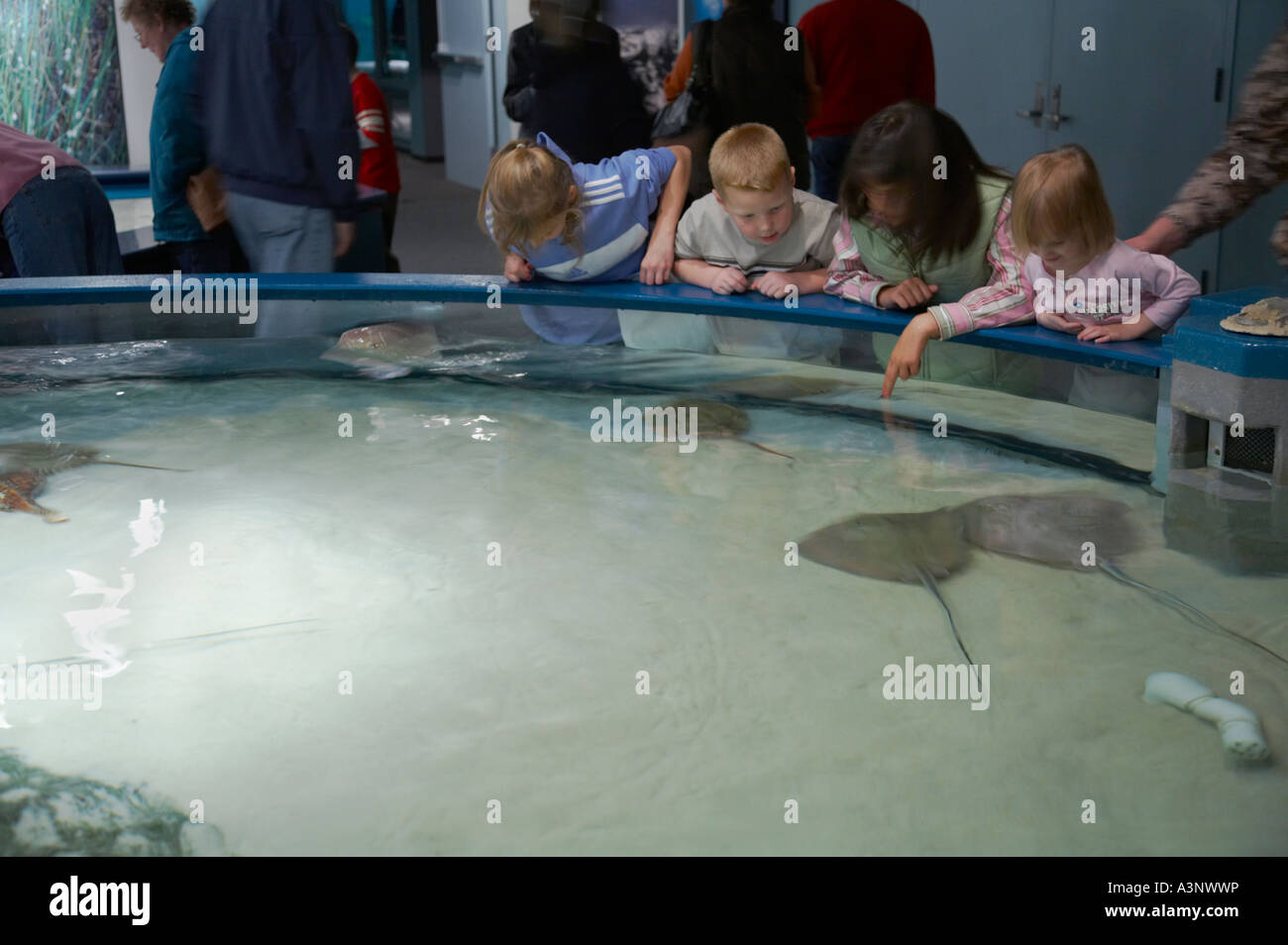 Roanoke Island  North Carolina Aquariums