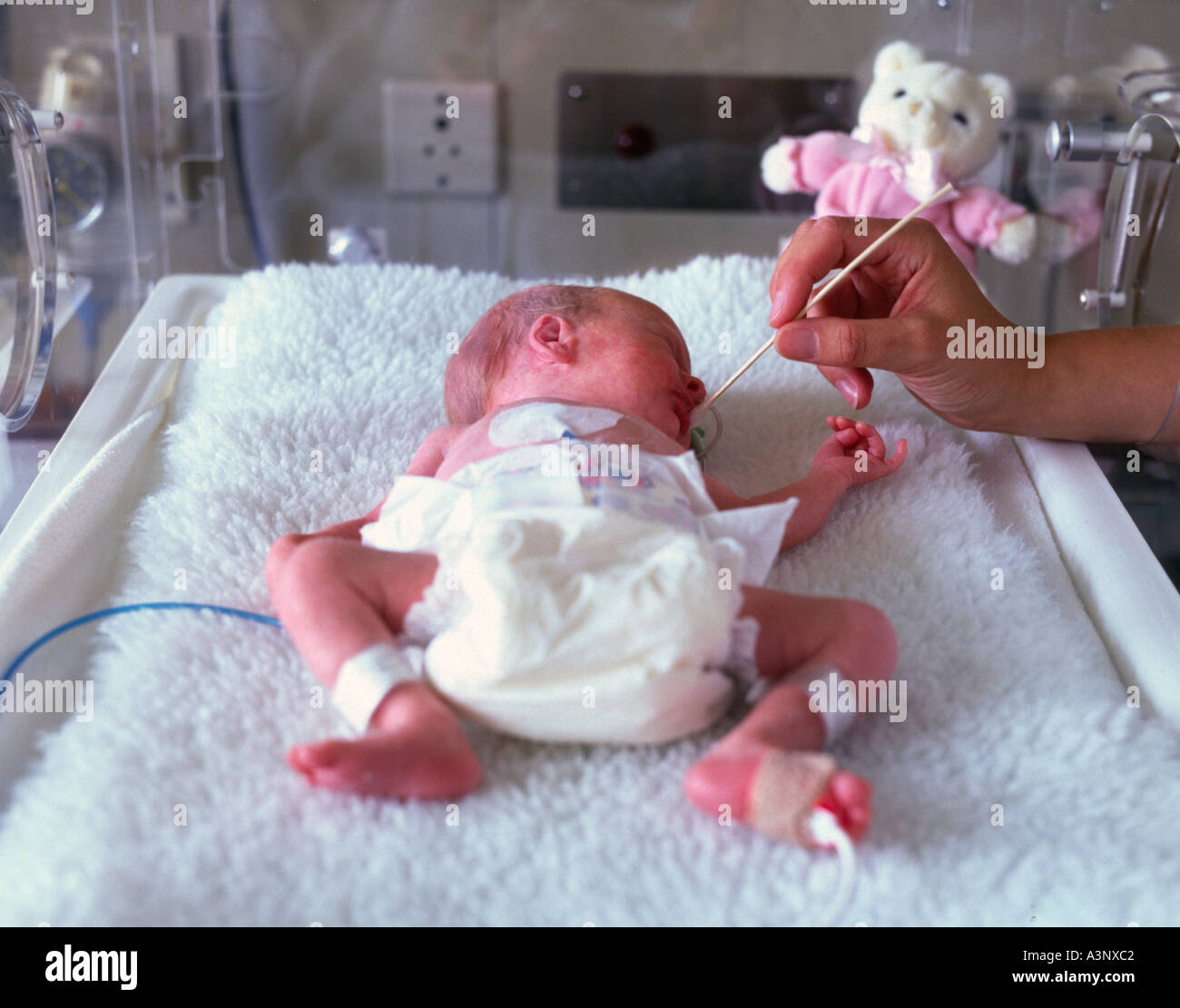 Premature baby incubator hires stock photography and images Alamy