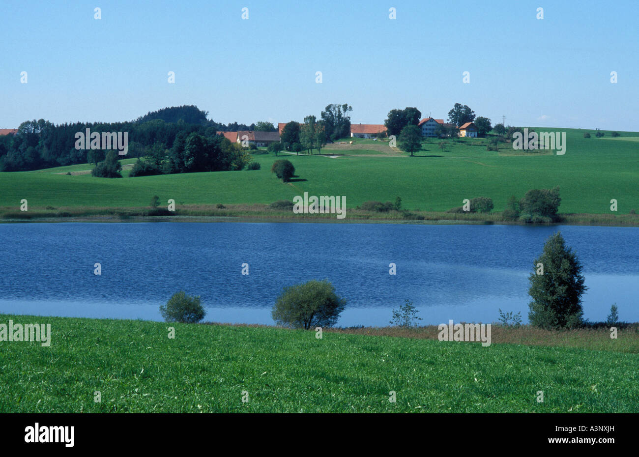 Landscape of the Allgaeu near Waltershofen Wangen Baden Wuerttemberg Germany Stock Photo