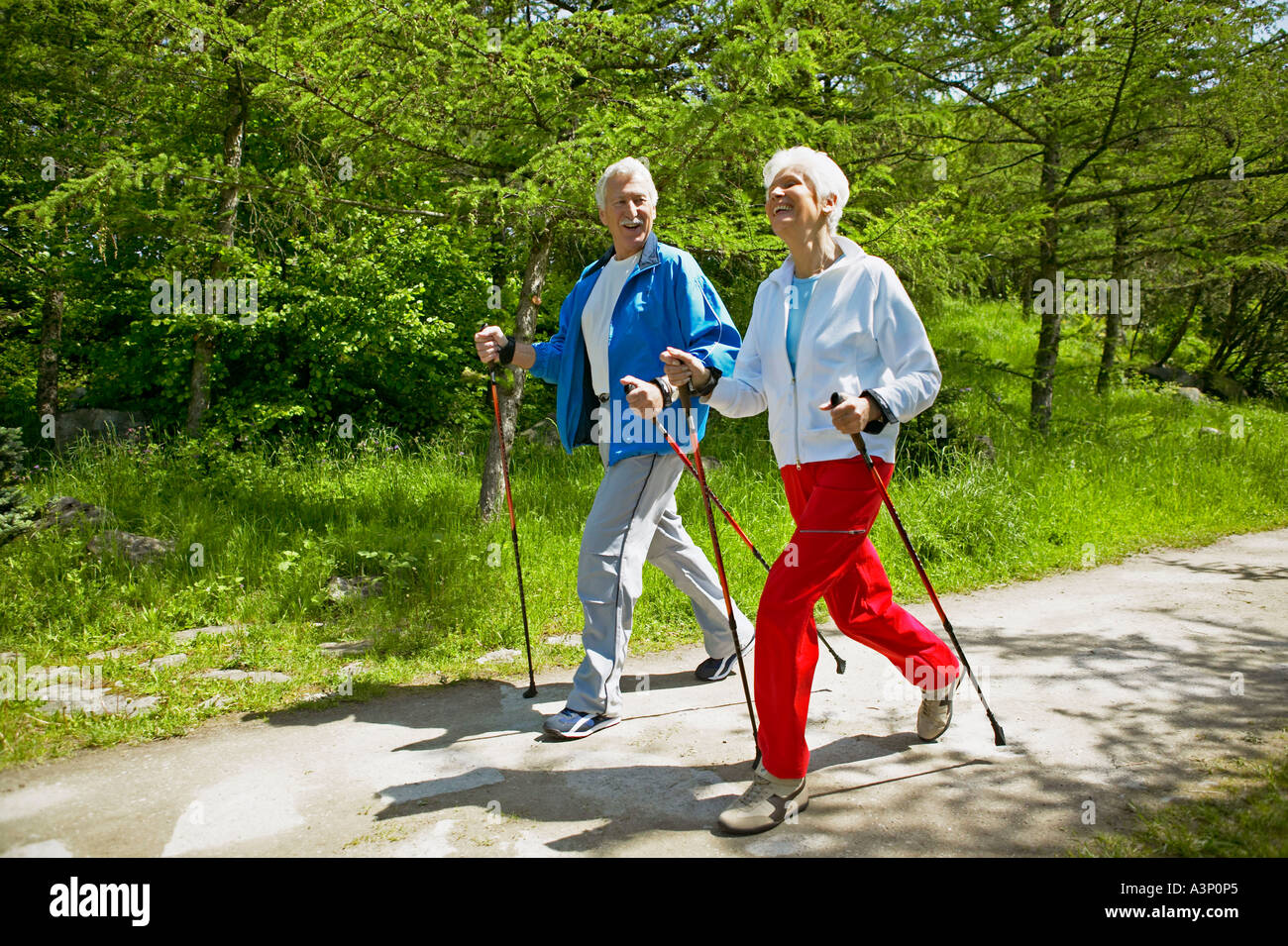 nordic pole walking for seniors