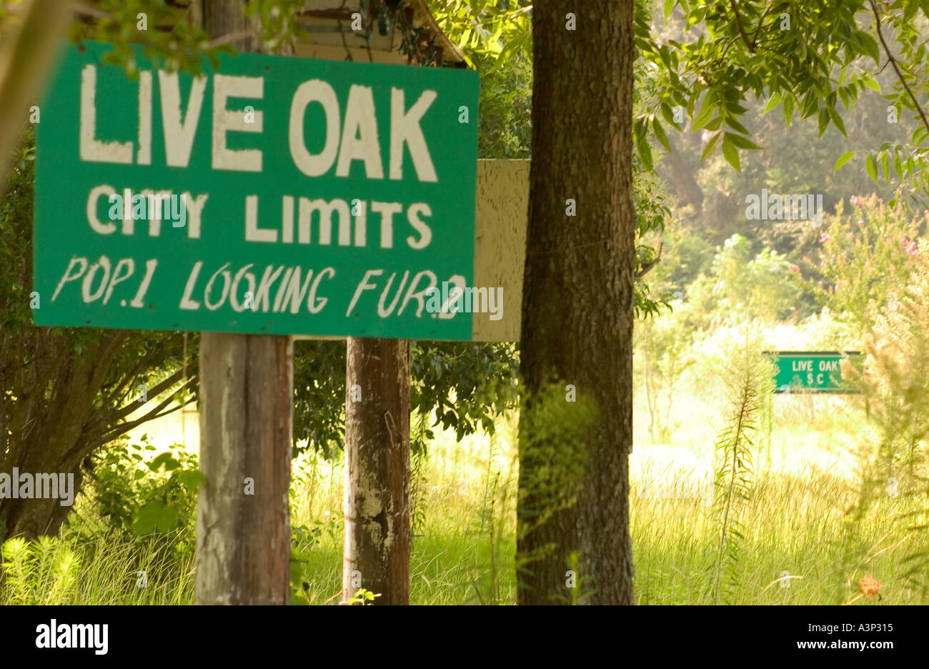 City limits sign Live Oak South Carolina USA Stock Photo Alamy
