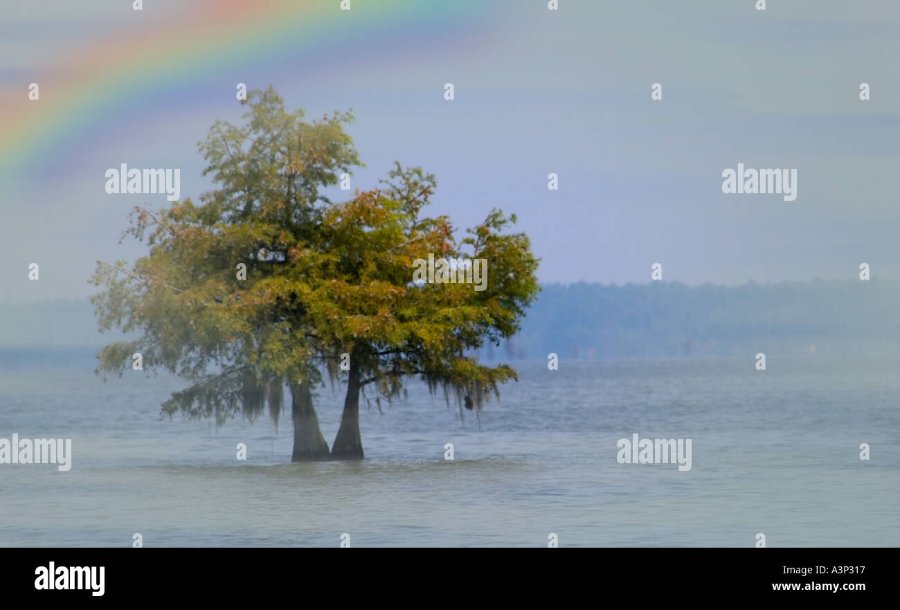 Lake Marion Santee South Carolina USA Stock Photo Alamy