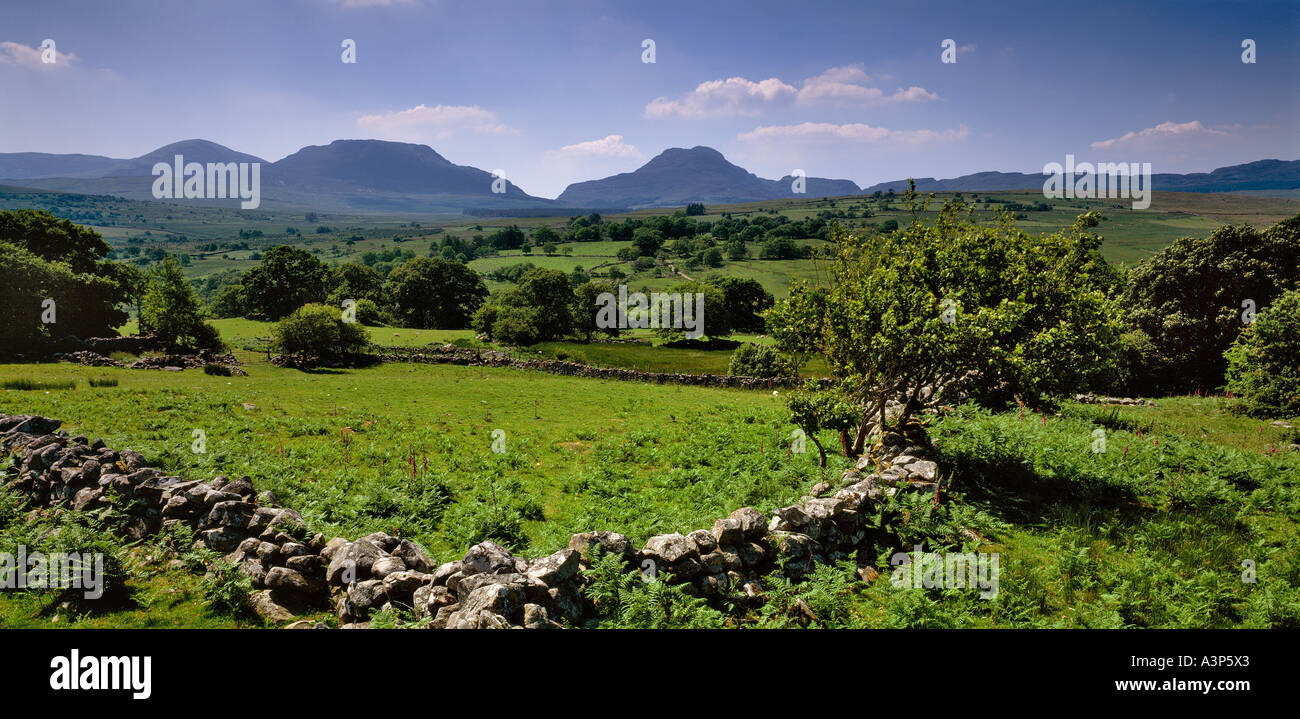 THE RHINOG FAWR MOUNTAINS FROM THE A470 SUMMER SNOWDONIA NORTH WALES UK ...