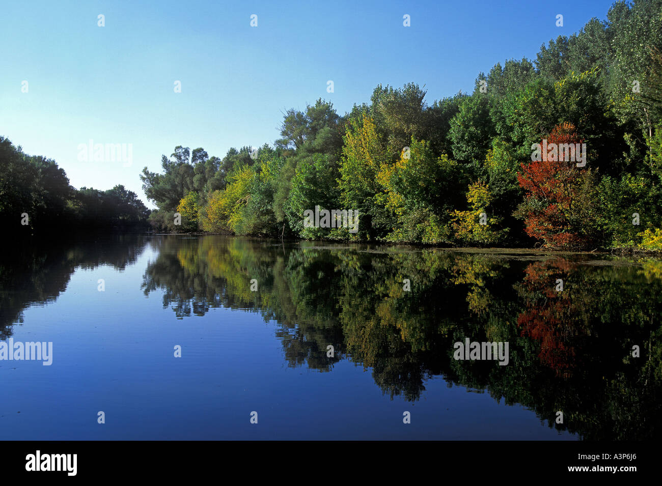 Affluent of the danube hi-res stock photography and images - Alamy