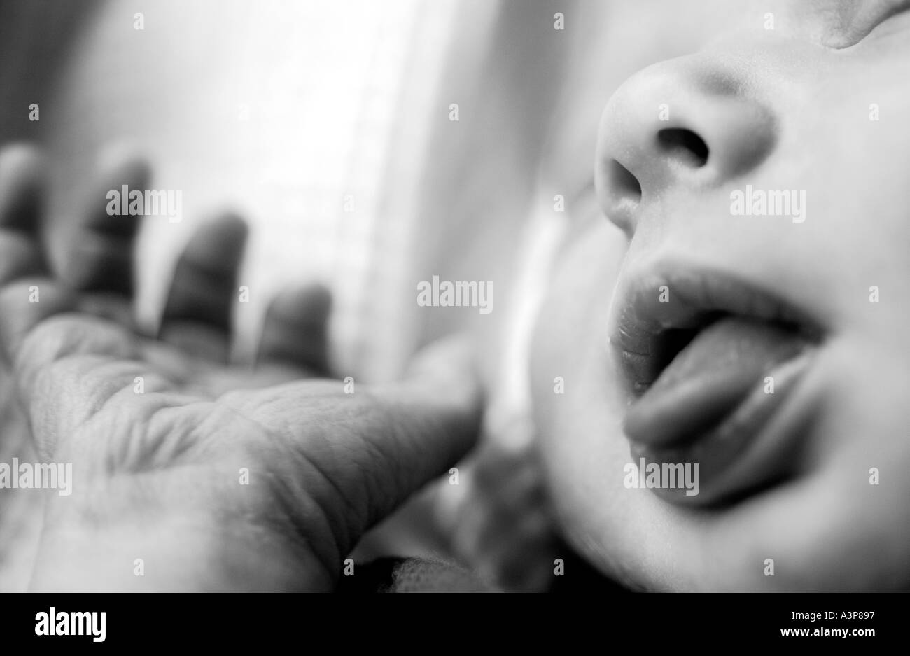 Baby sleeping with tongue sticking out Stock Photo