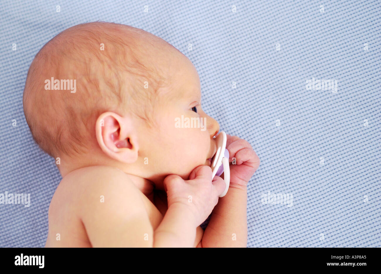 Newborn baby holding onto pacifier Stock Photo Alamy