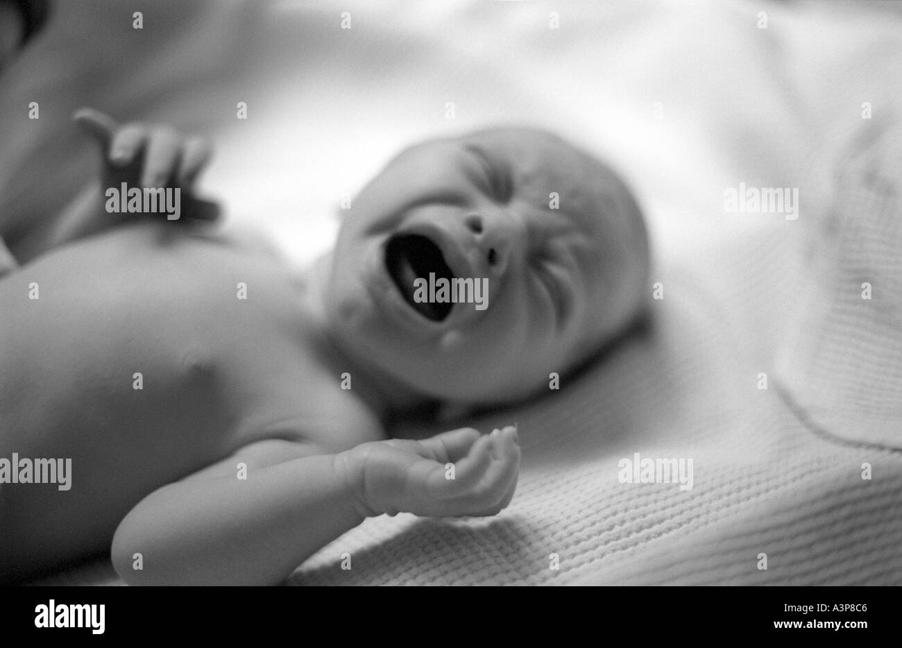 Crying newborn baby Stock Photo