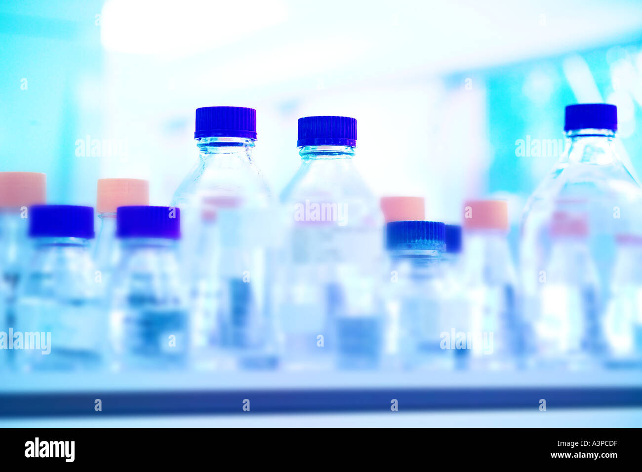Glass bottles in laboratory Stock Photo Alamy