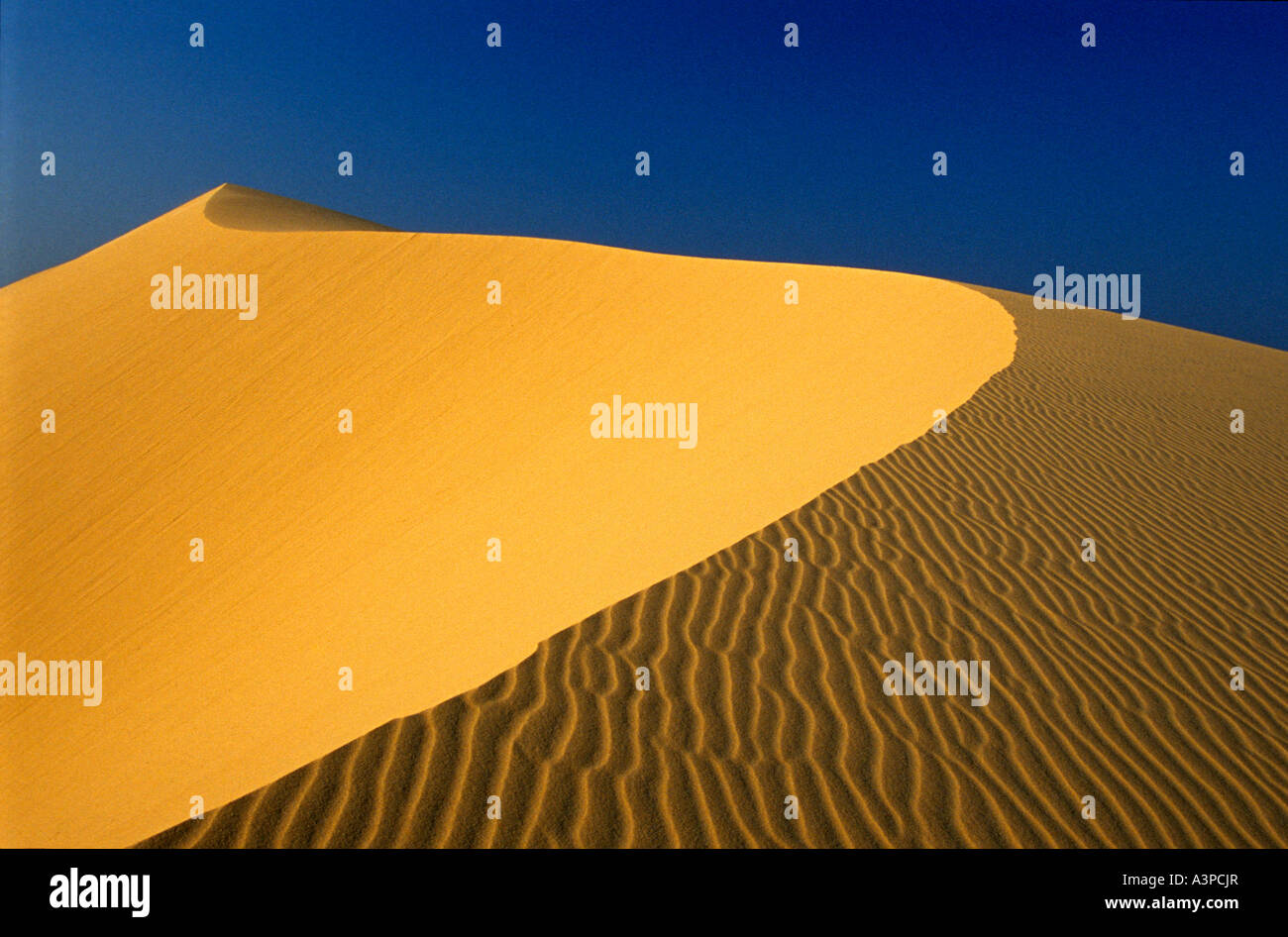 White Sand Dune Mui Ne Vietnam Stock Photo