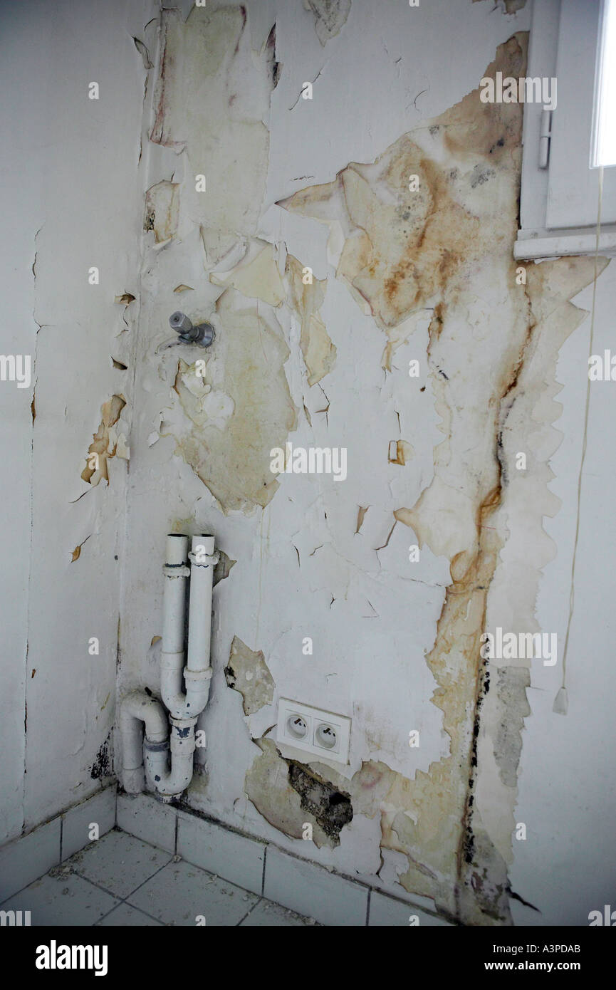 paint peeling off a wall suffering from excessive dampness Stock Photo