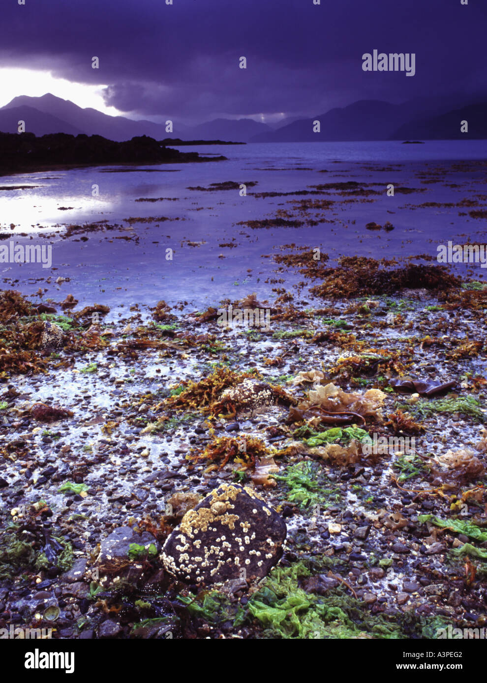 Coastal climates hi-res stock photography and images - Alamy