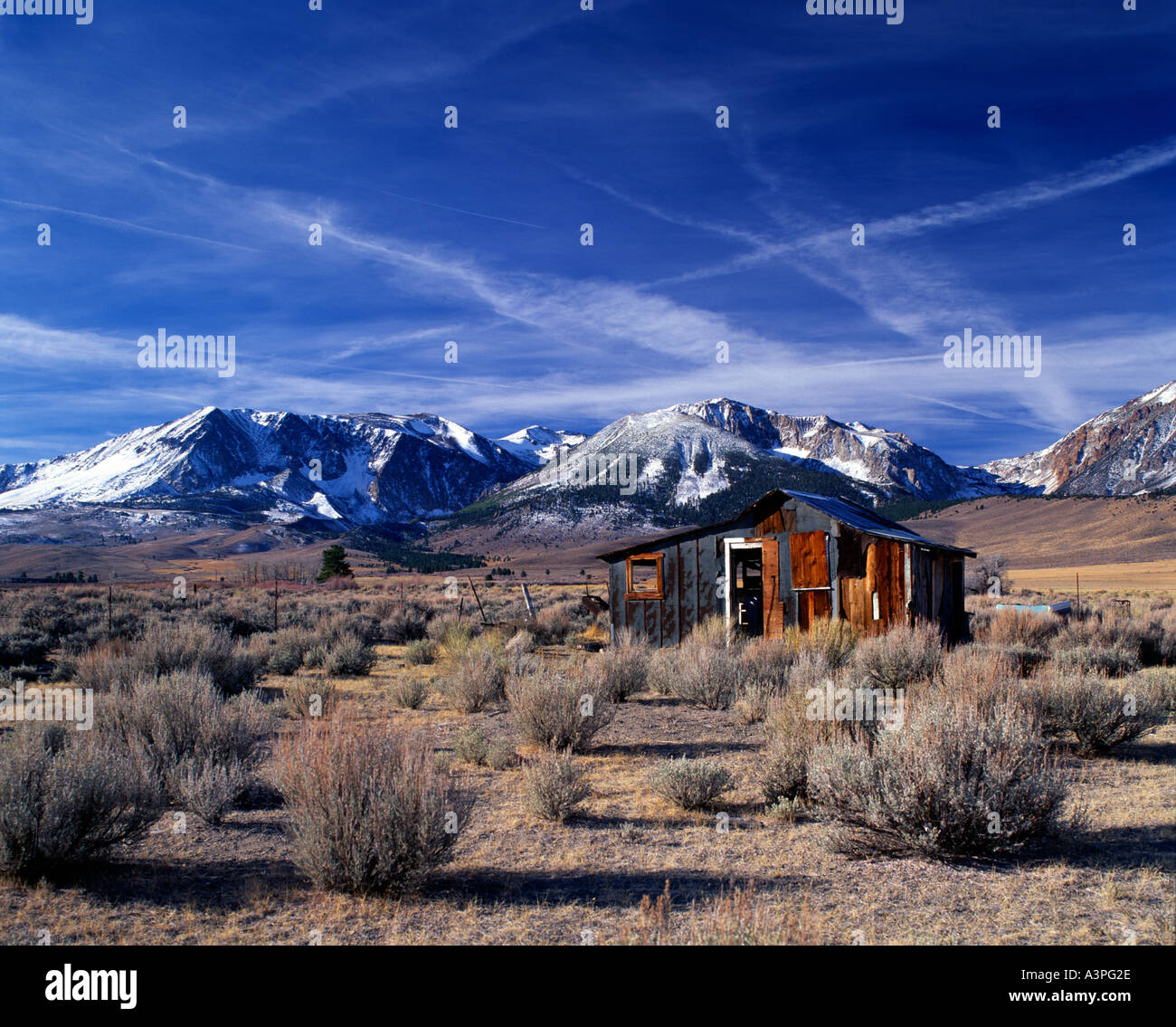 Deserted home, The Rockies California USA Stock Photo
