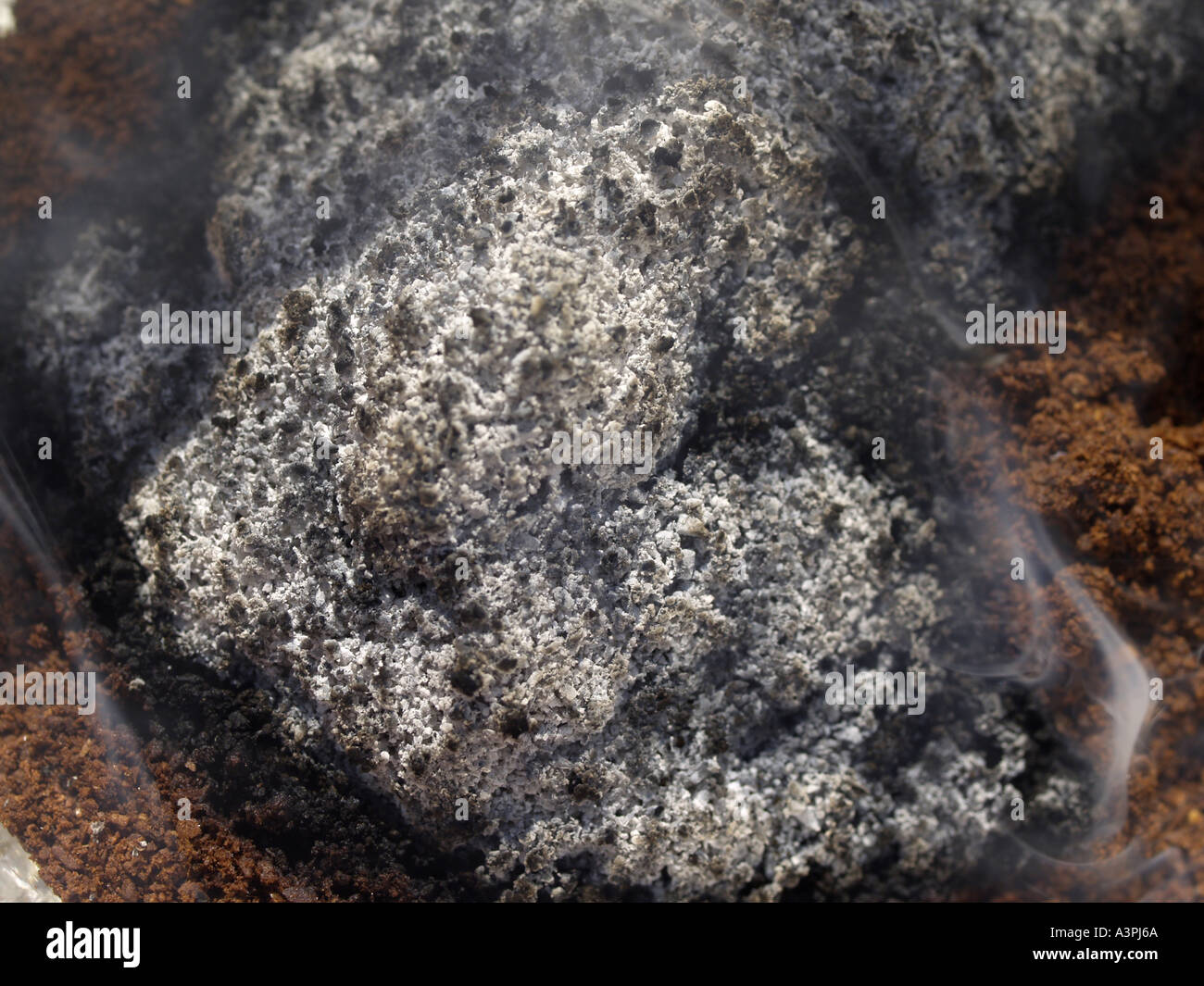 burning coffee to keep insects away Stock Photo Alamy