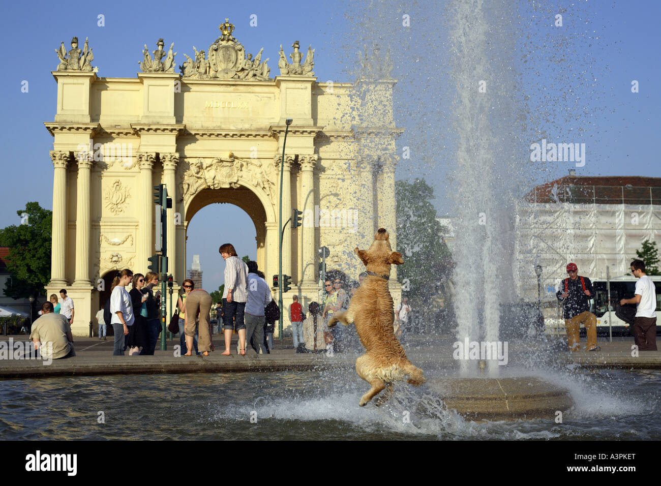 Dog jumping in water fountain hires stock photography and images Alamy