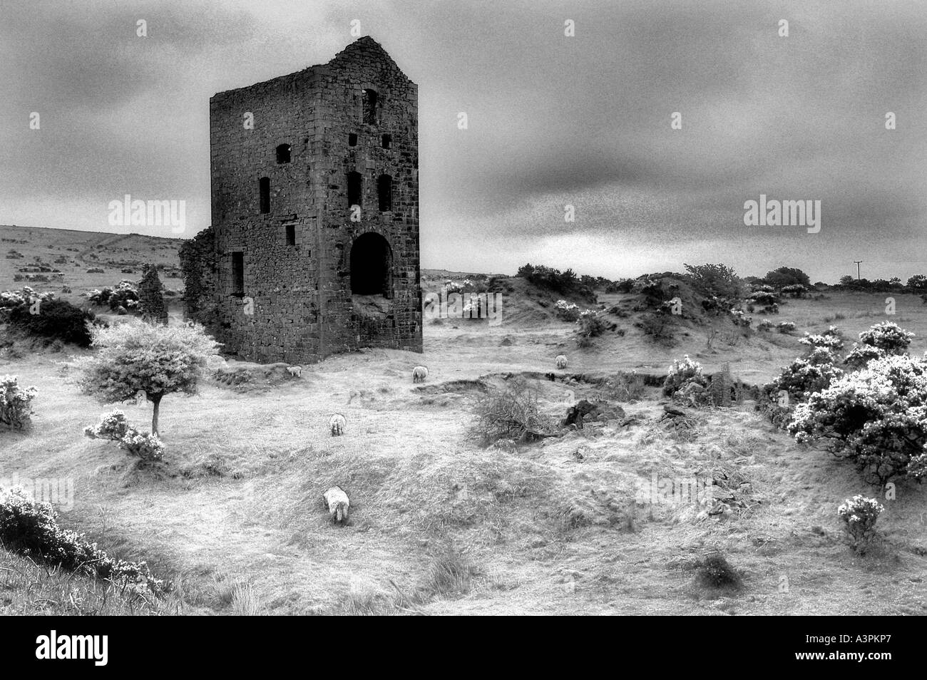 Old Tin Mine on Bodmin More [Infrared] Stock Photo Alamy