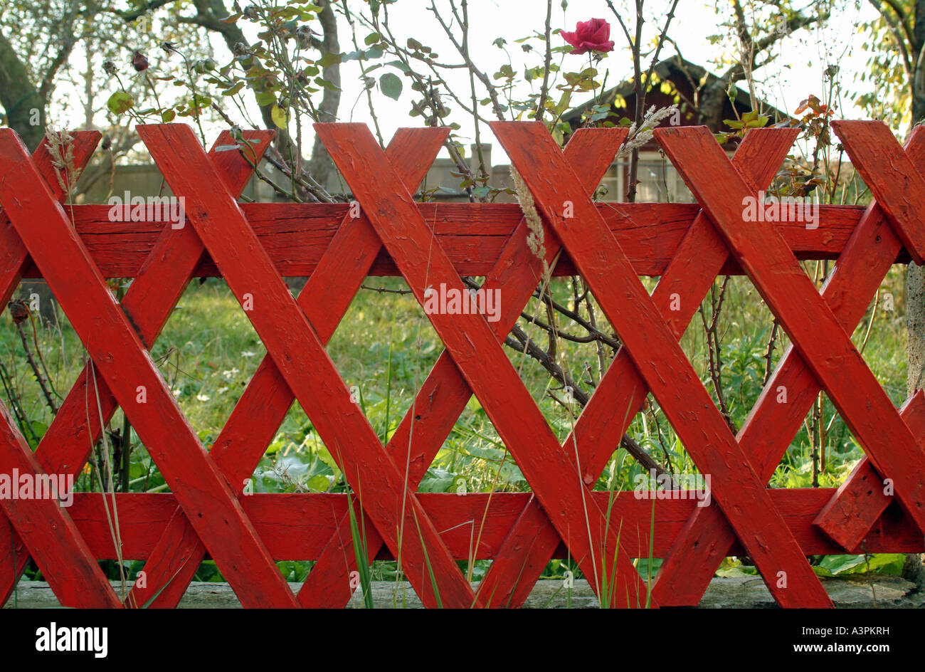 A red garden fence Stock Photo
