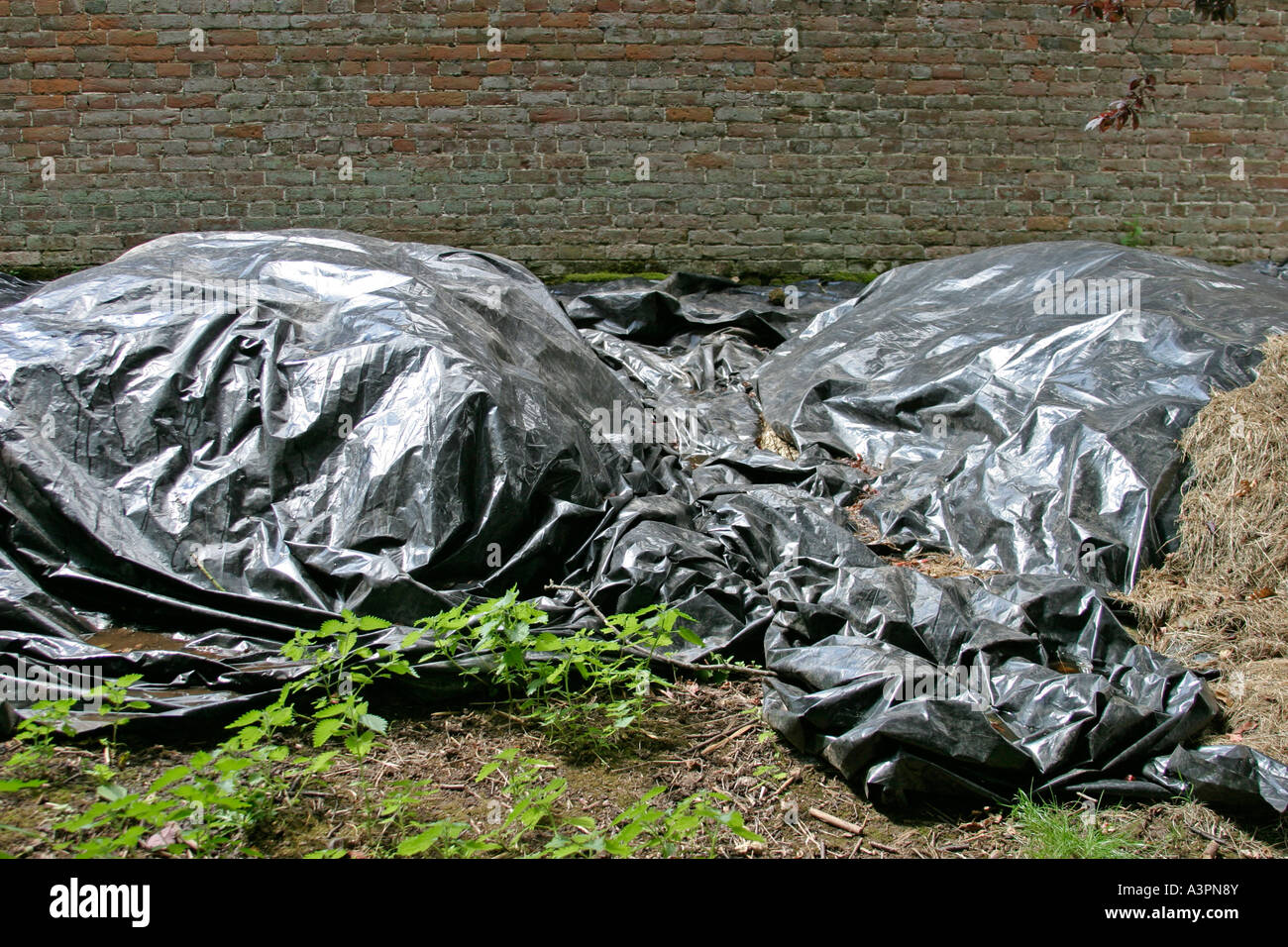 composting cover material with polythene to keep out the rain Stock Photo