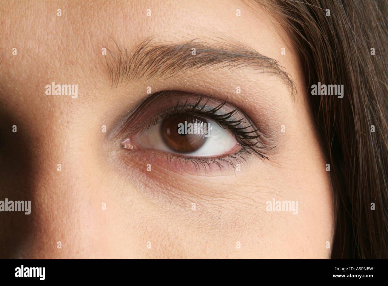 Eye of a woman Stock Photo