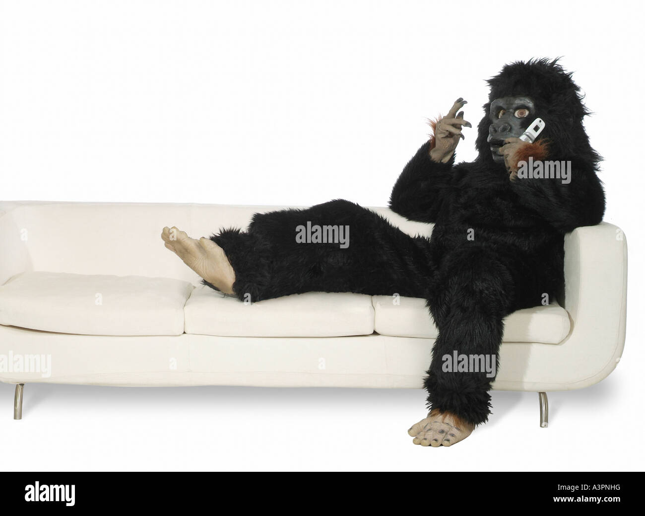 Man dressed up in a gorilla costume sitting on a sofa and making a phone call Stock Photo