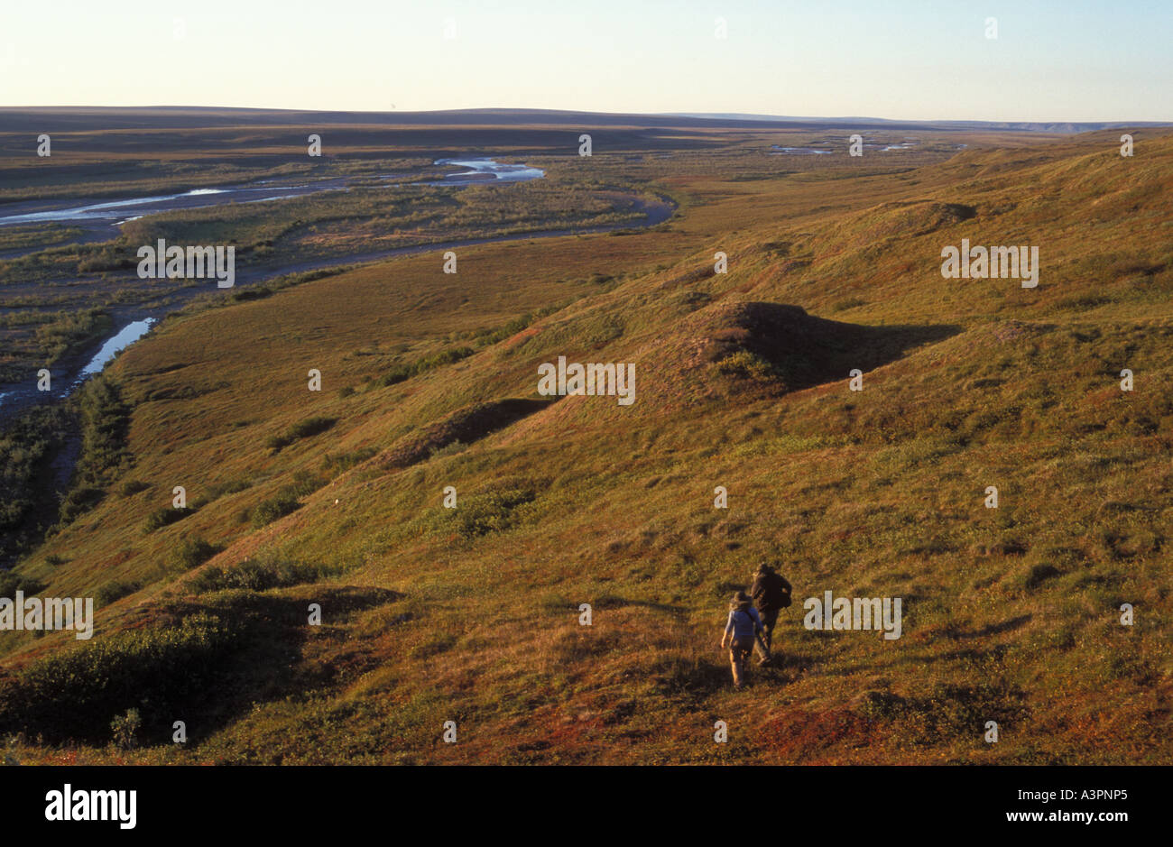 Hikers above Killik river arctic tundra autumn National Petroleum ...