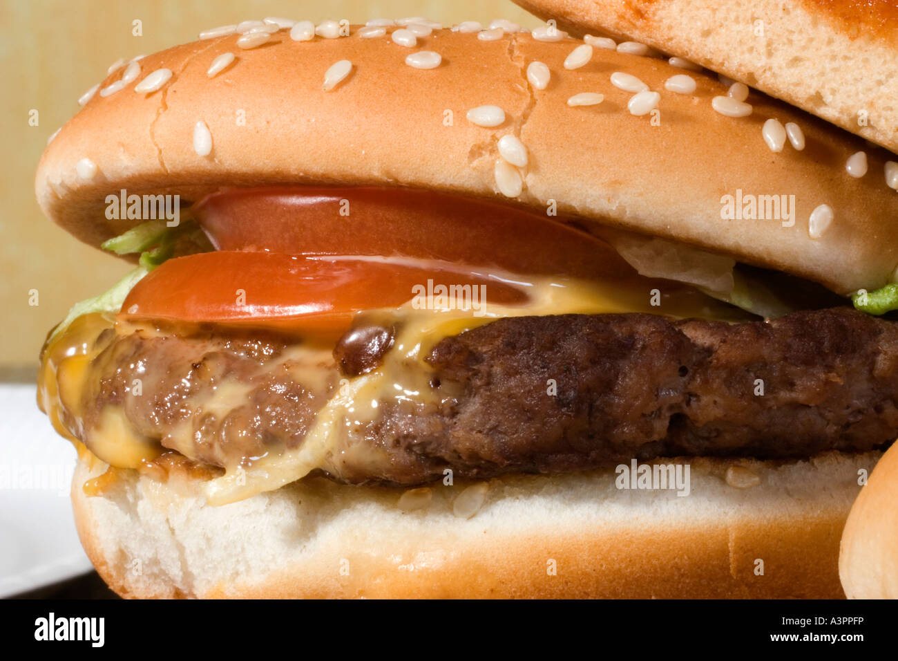 Hamburger Fast Food Stock Photo