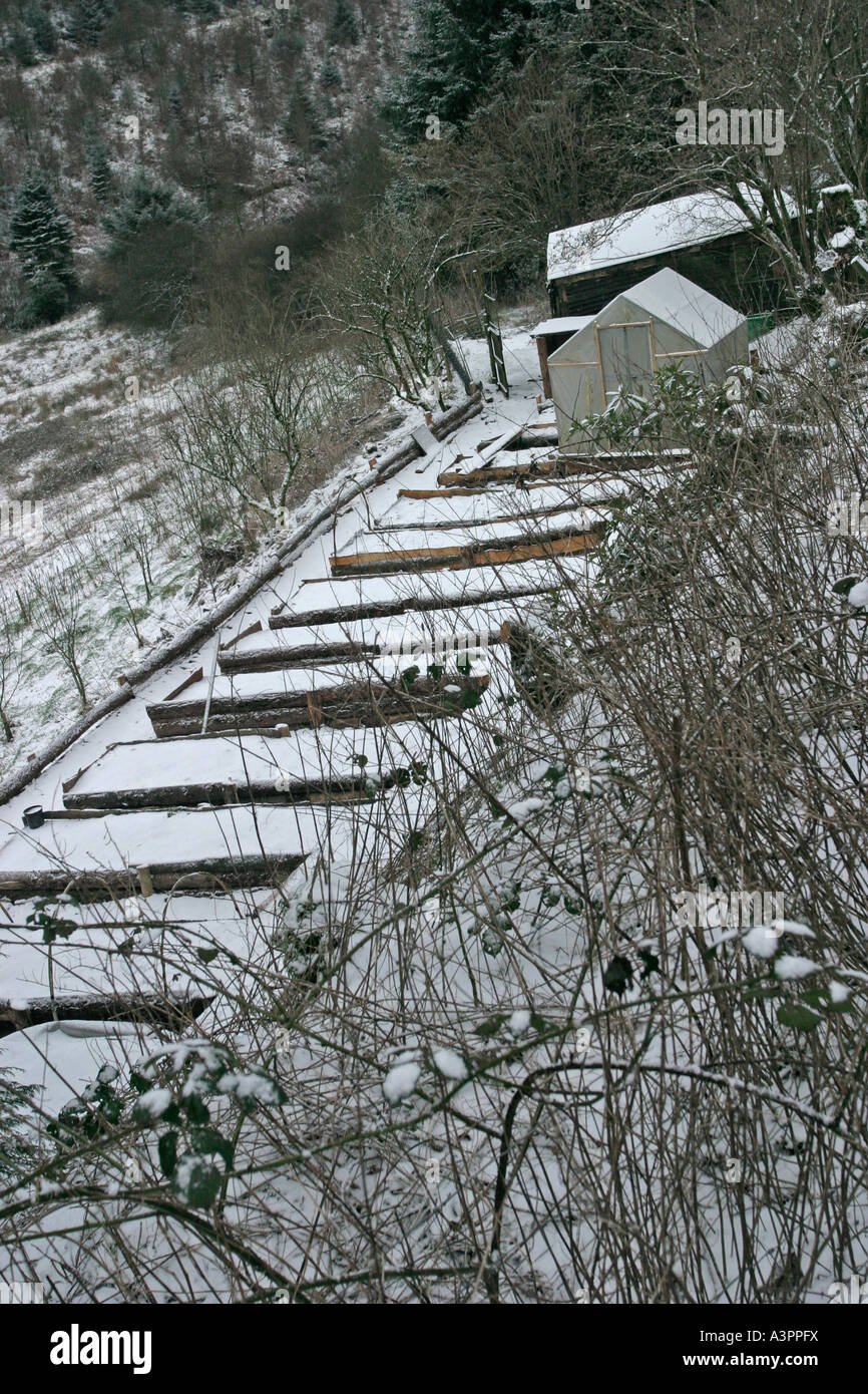 Raised beds in winter with snow covering Stock Photo Alamy