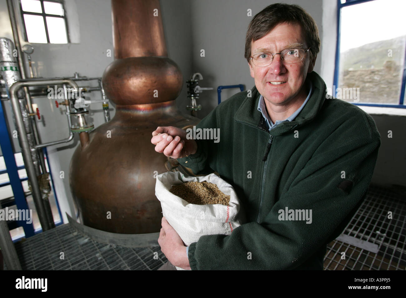 Anthony Wills feels the barley prior to production starting at the Kilchoman Distillery Stock Photo