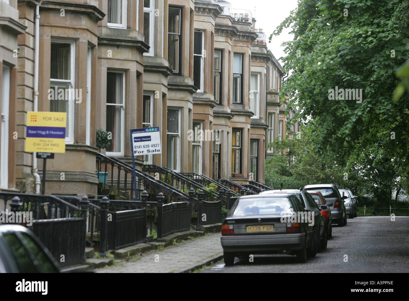 Leafy suburbs of Glasgow's west end, Scotland Stock Photo Alamy