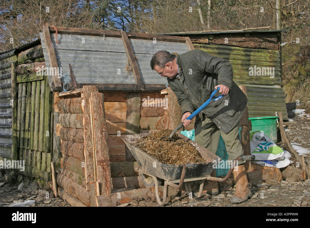 Filling a compost bin manure makes a good starter Stock Photo Alamy