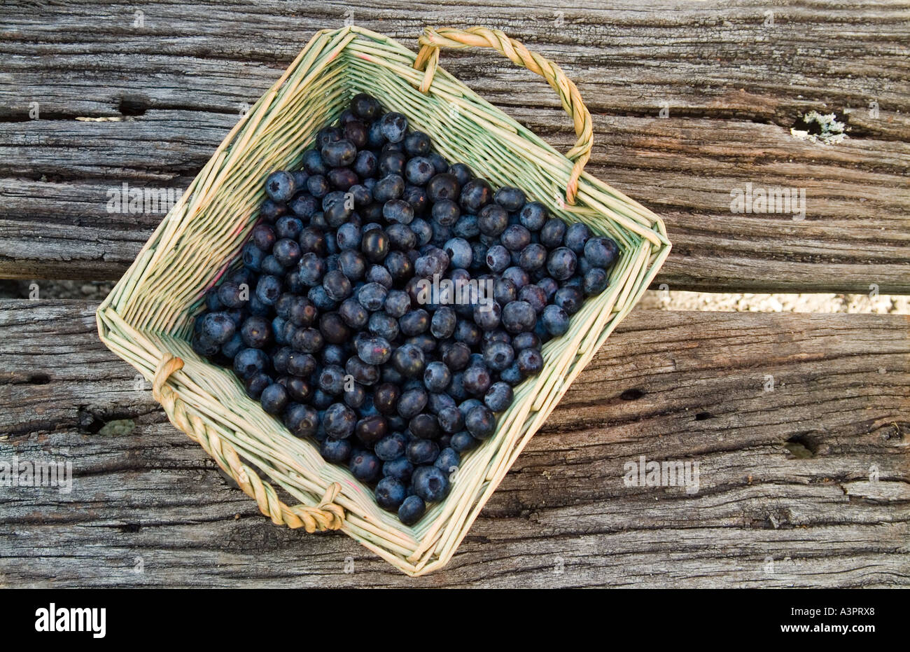 Basket of ripe blueberries on old garden bench Stock Photo - Alamy