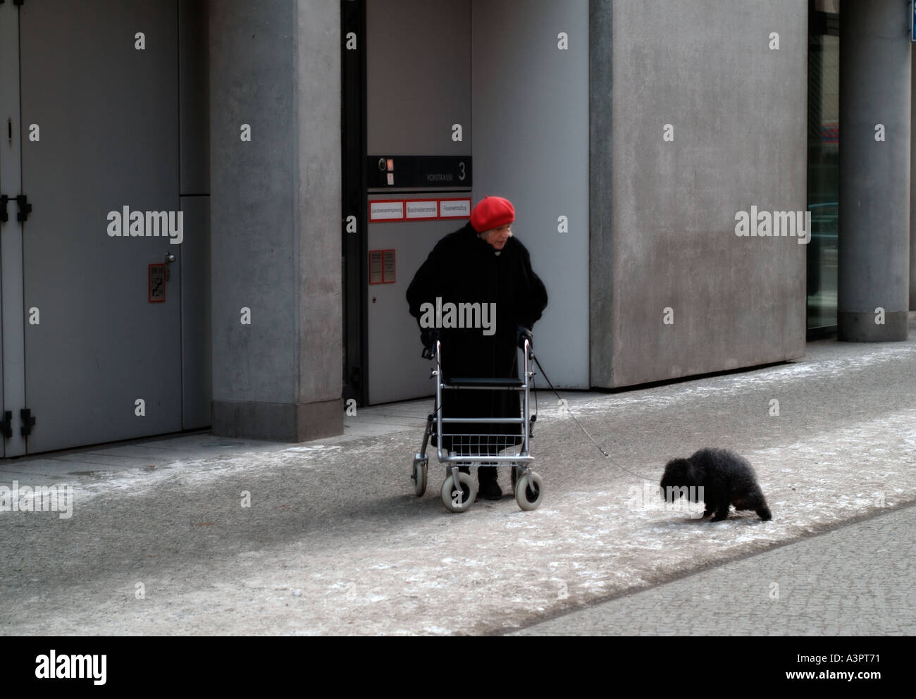 Old lady walking dog hi-res stock photography and images - Alamy