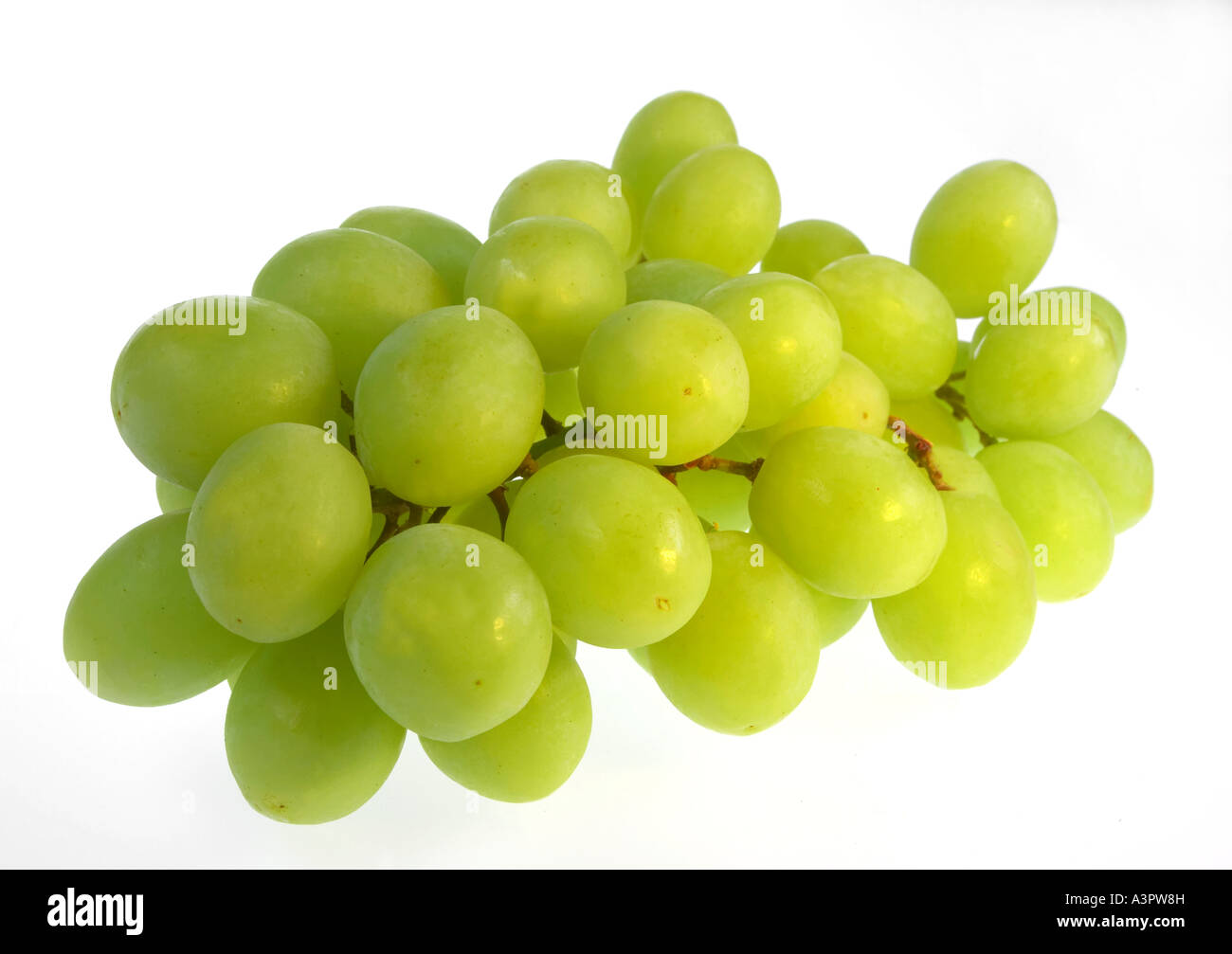Are White Seedless Grapes High In Sugar at Timothy Carter blog