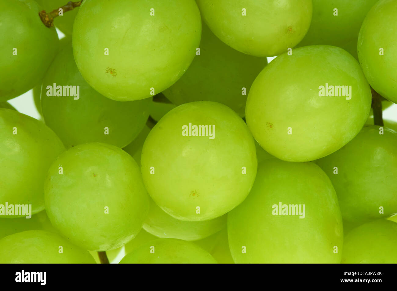 white seedless grapes Stock Photo Alamy
