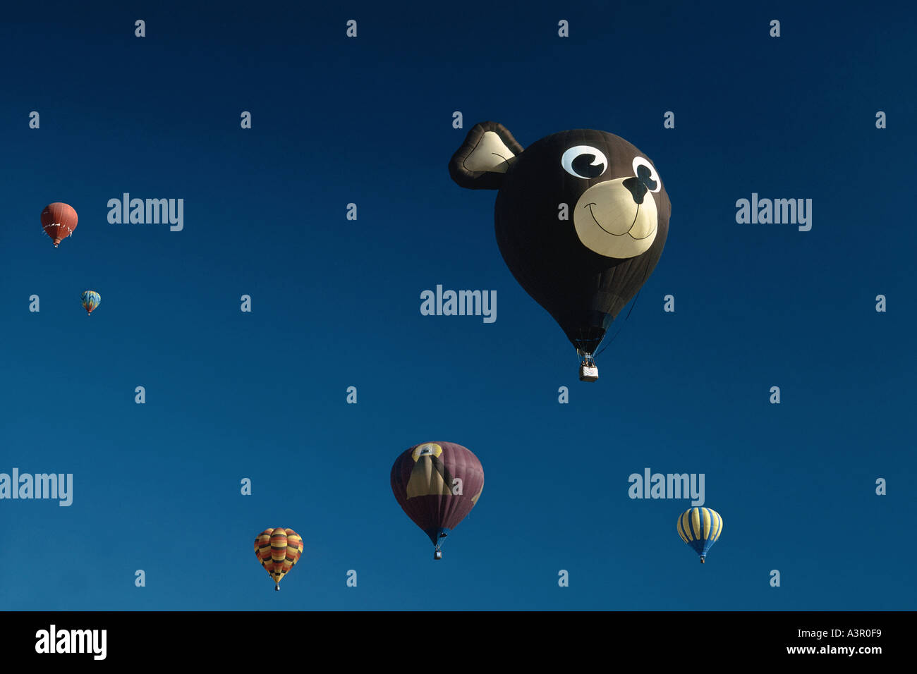 A balloon shaped as a bear head drift among more conventional creations Stock Photo