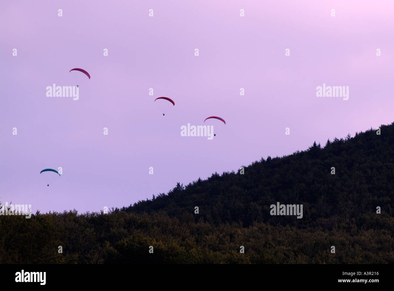 Paragliders in Flight Against a Dusk Sky Stock Photo