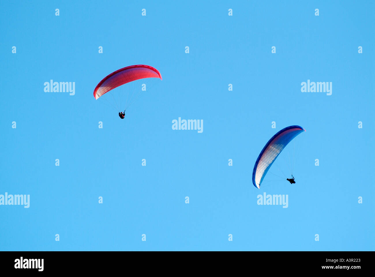 Two Paragliders in Flight Against a Blue Sky Stock Photo