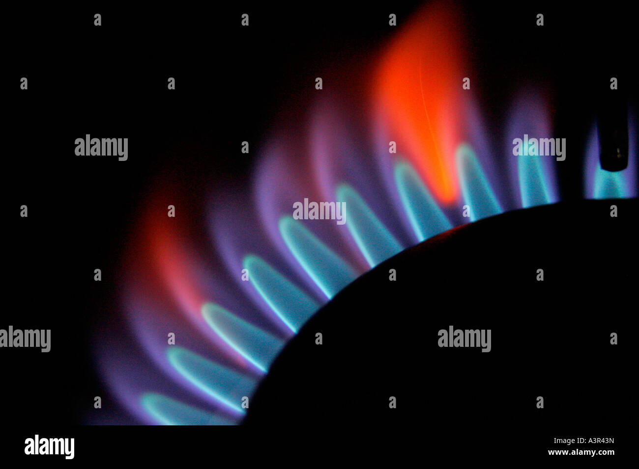 Gas hob flame Stock Photo Alamy