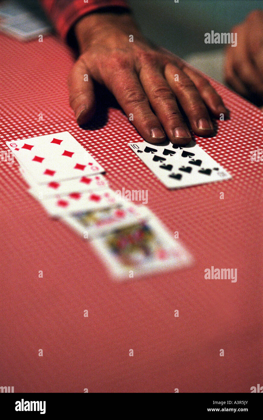 Cards on the table during a contract bridge play, Poland Stock Photo