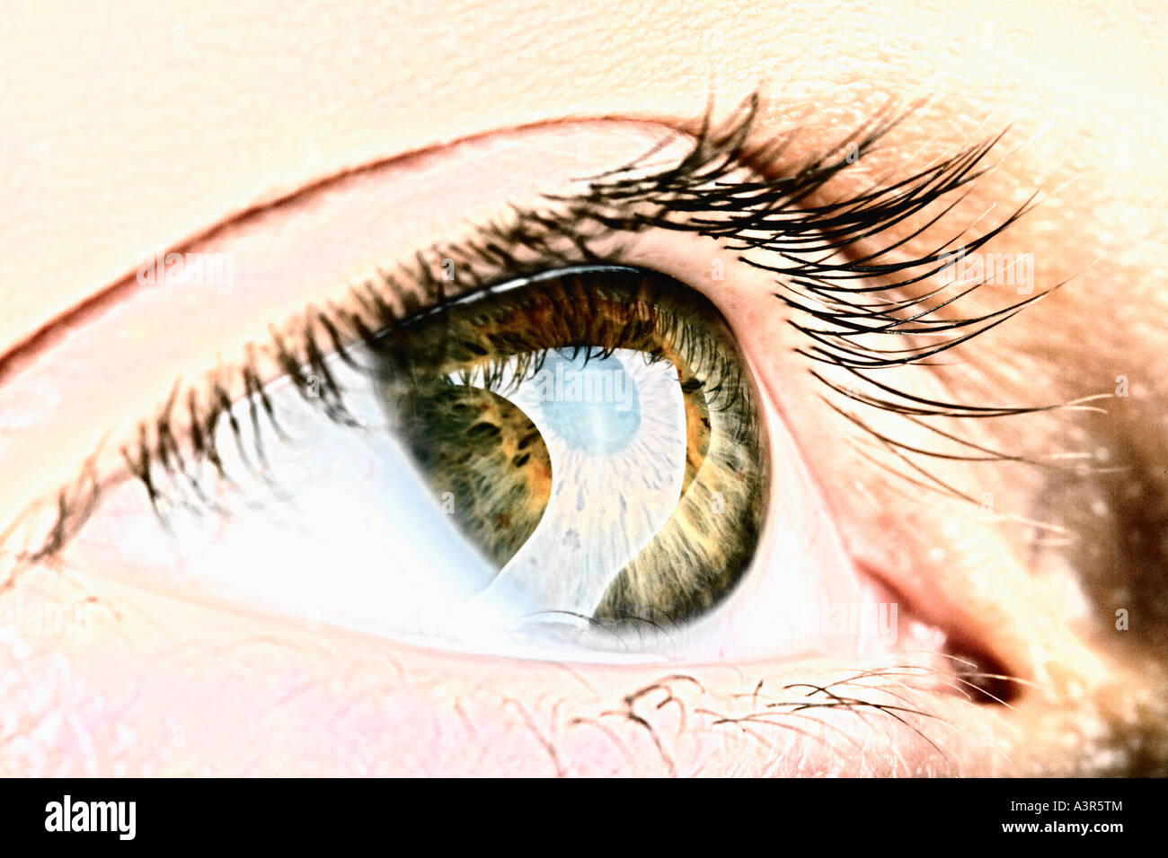 Male human eye close up hi-res stock photography and images - Alamy