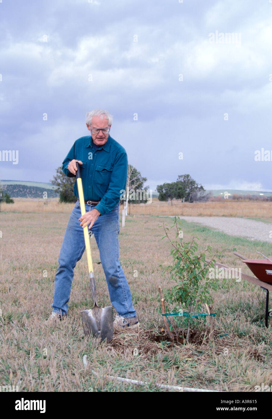 Older male gardening hi-res stock photography and images - Alamy
