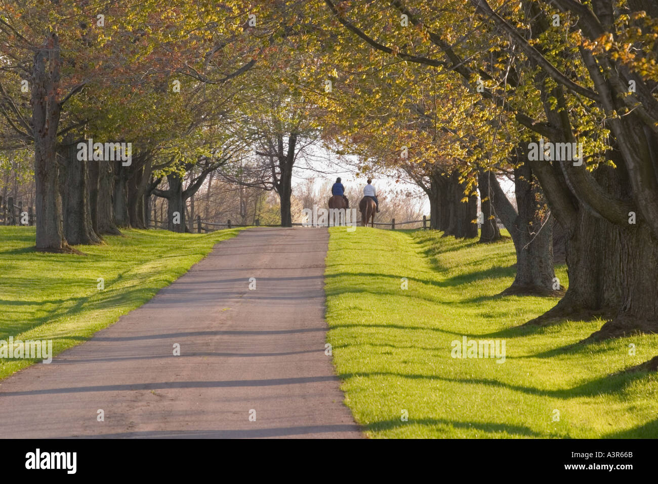 Knox Farm State Park East Aurora New York USA Stock Photo Alamy