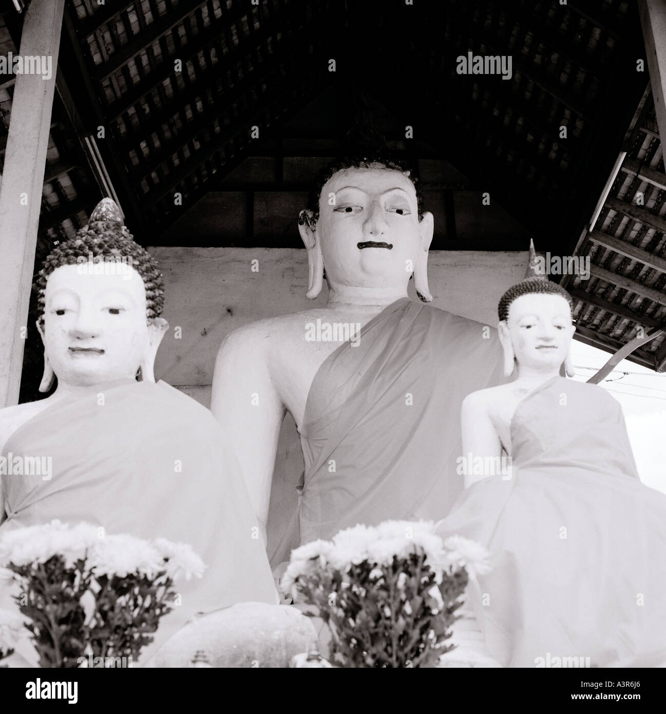 Buddha sculptures in a Buddhist temple in Chiang Mai in Thailand in Far