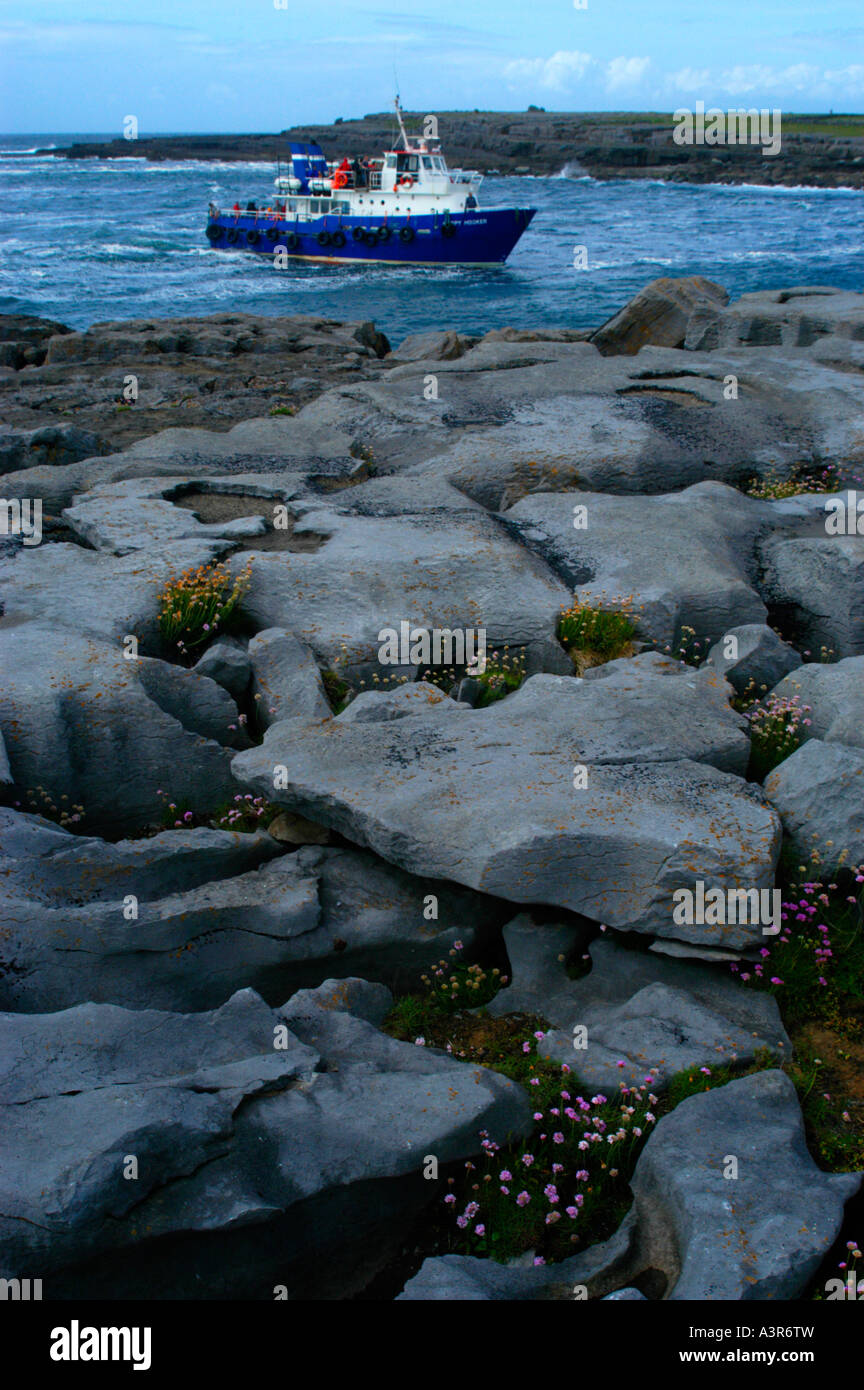 Rocks with flowering plants in the Burren witness the approach of a ...
