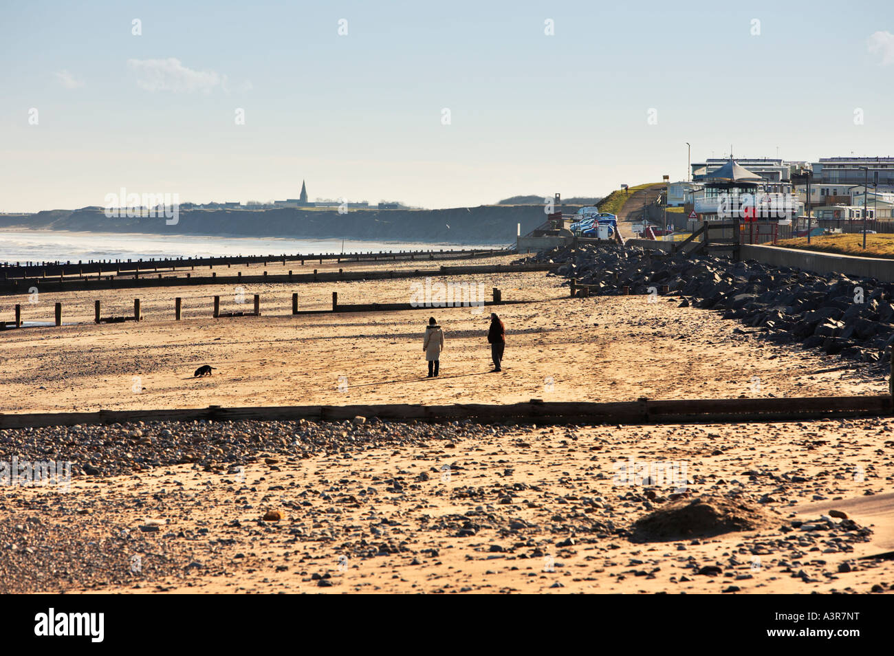 Couple walking a dog on beach at Hornsea East Yorkshire UK Stock Photo