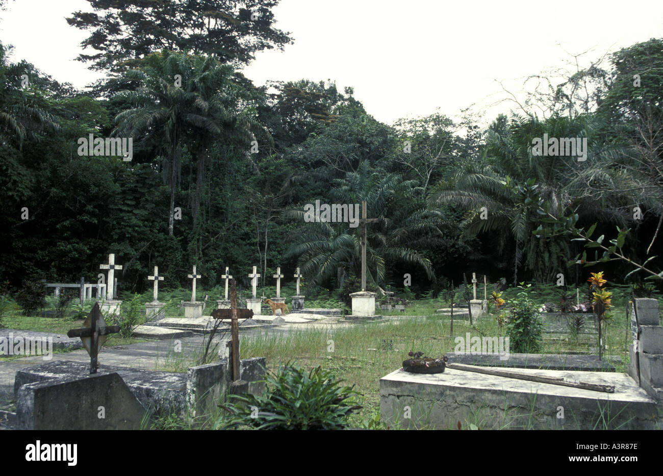 French colonial cemetery in St Anne s Mission on the Fernan Vaz Lagoon Gabon West Africa Stock Photo