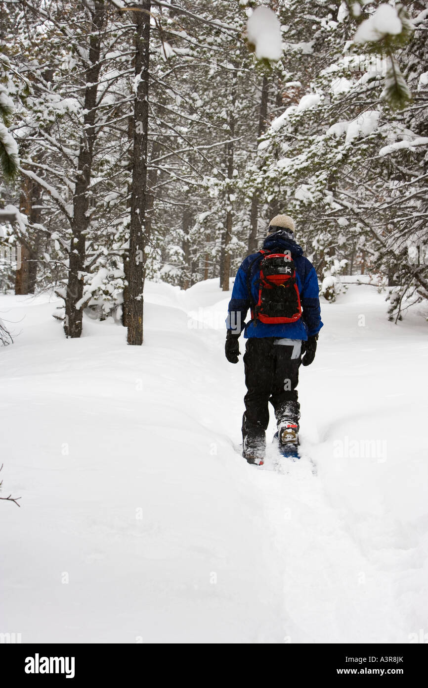 Ten mile river hires stock photography and images Alamy