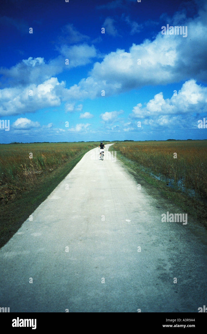 Woman riding bike in Everglades National Park Florida United States Stock Photo