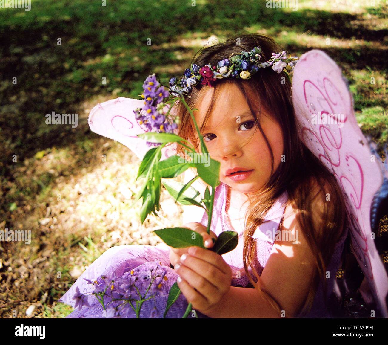beautiful child offering a flower Stock Photo
